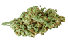 Cherry Punch