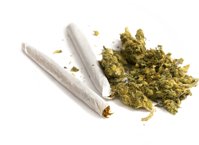 https://cannacove.shop/wp-content/uploads/2019/01/our-menu-inner.png