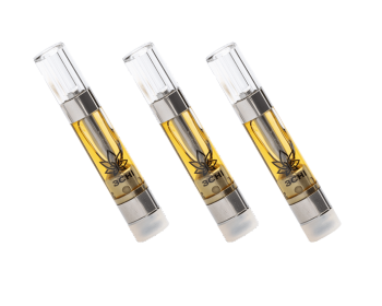https://cannacove.shop/wp-content/uploads/2025/04/SURFSIDE-9.png
