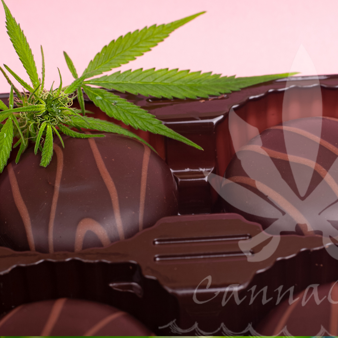 CannaCove’s Story: 25 Years of Cannabis Passion and Quality