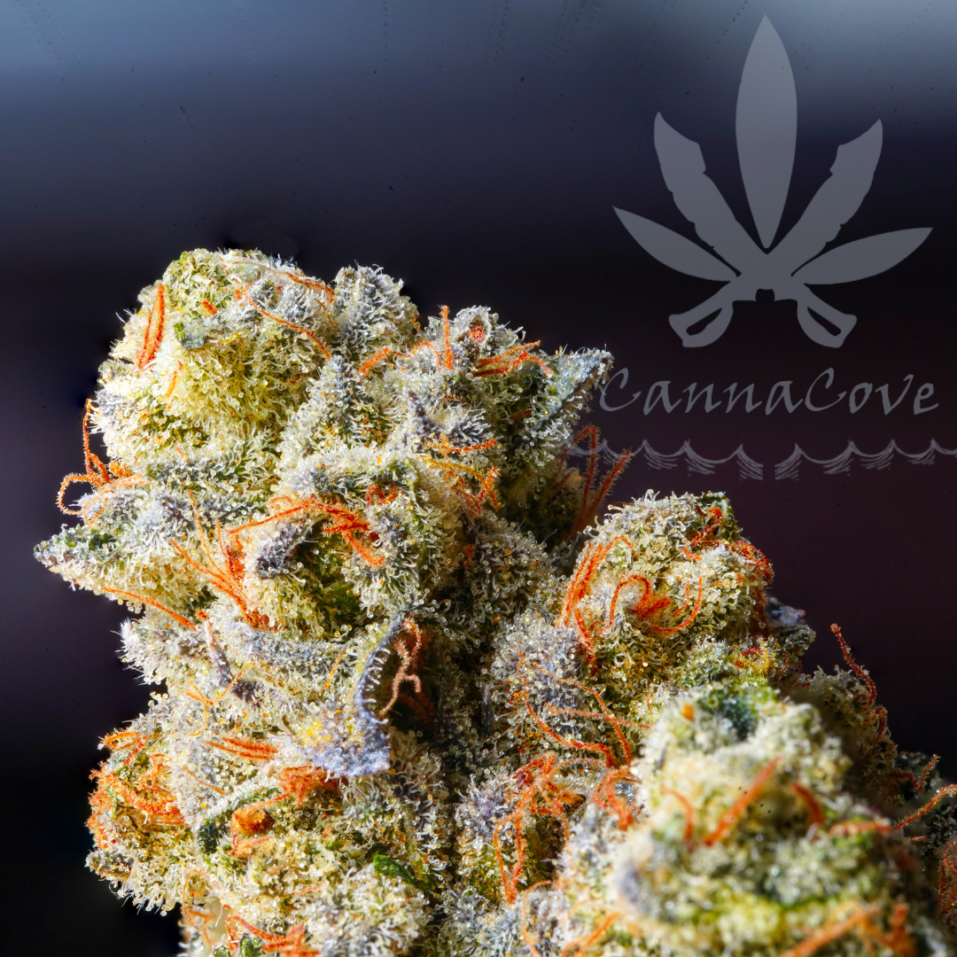 Hemp Flower Top Shelf Frosty Buds